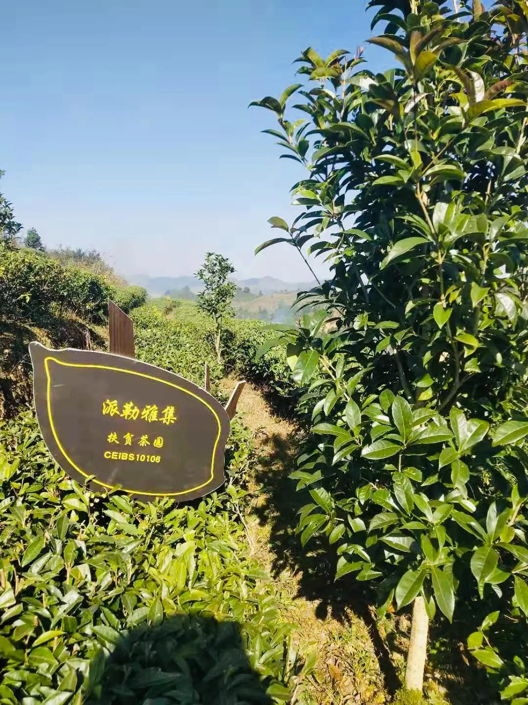 1621229939574014.jpg 微信图片_20210517133800.jpg